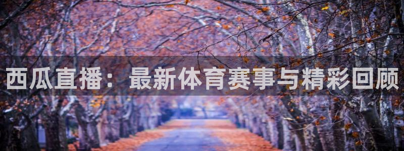 西瓜直播：最新体育赛事与精彩回顾